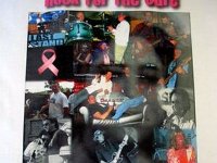 rock for the cure july 18 09 010