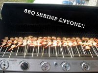 rock for the cure july 18  09 009