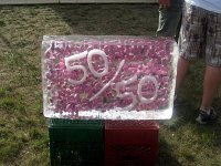 rock for the cure july 18  09 100