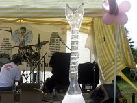 rock for the cure july 18  09 105