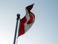 streetsville legion pig roast july 18 09 016